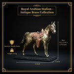 Royal Arabian Stallion - Antique Brass Collection